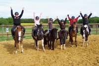 LES CHEVAUX DE LA LANDE